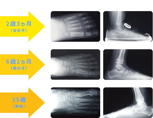 2��3����(���̎q)�A6��1����(�j�̎q)�A35��(�j��)�̑��̍��i