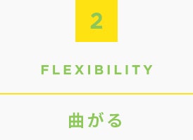 2.Flexibility, �Ȃ���