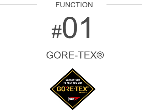 �h���E�������\�ɗD�ꂽGORE-TEX®