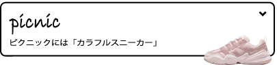 picnic �s�N�j�b�N�ɂ́u�J���t���X�j�[�J�[�v