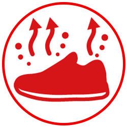 �A�f�B�_�X �L�b�Y �����j���O�t�F�A