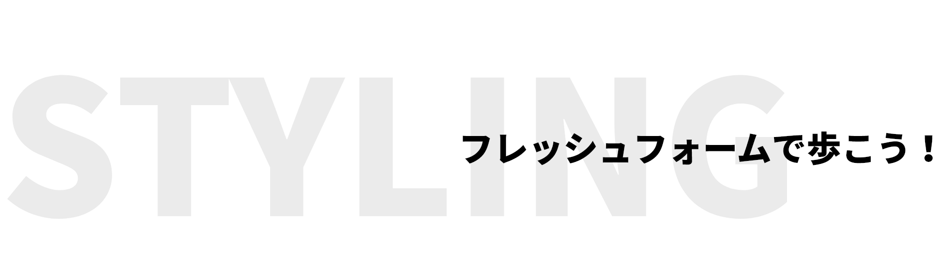 STYLING �t���b�V���t�H�[���ŕ������I