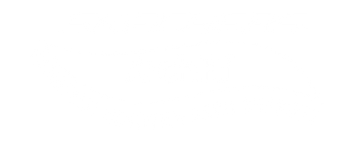 SKECHERS �A�[�`�t�B�b�g