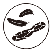 �A�f�B�_�X �X�|�[�c�t�F�A