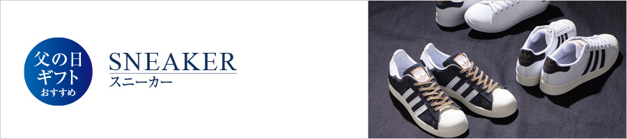 ���̓��M�t�g�������� �X�j�[�J�[