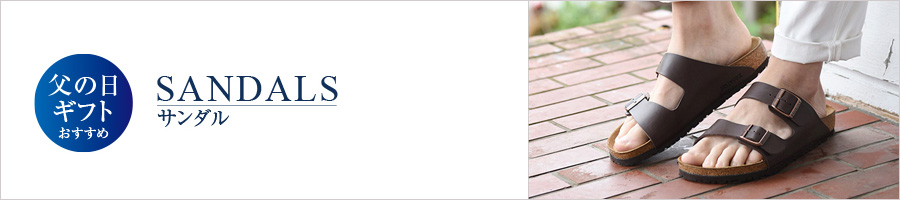 ���̓��M�t�g�������� �T���_��