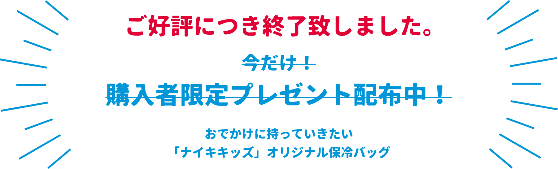 �������I�w⼊�Ҍ���v���[���g�z�z���I���ł����Ɏ����Ă��������u�i�C�L�L�b�Y�v�I���W�i���ۗ�o�b�O