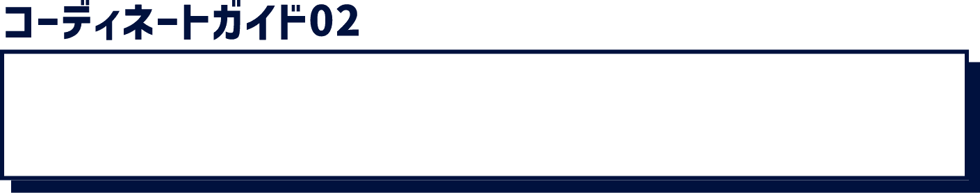 �R�[�f�B�l�[�g�K�C�h02