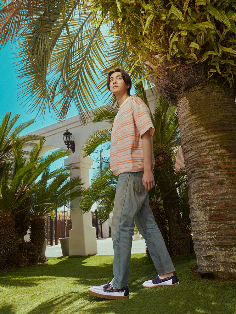 VANS LowPro Collection