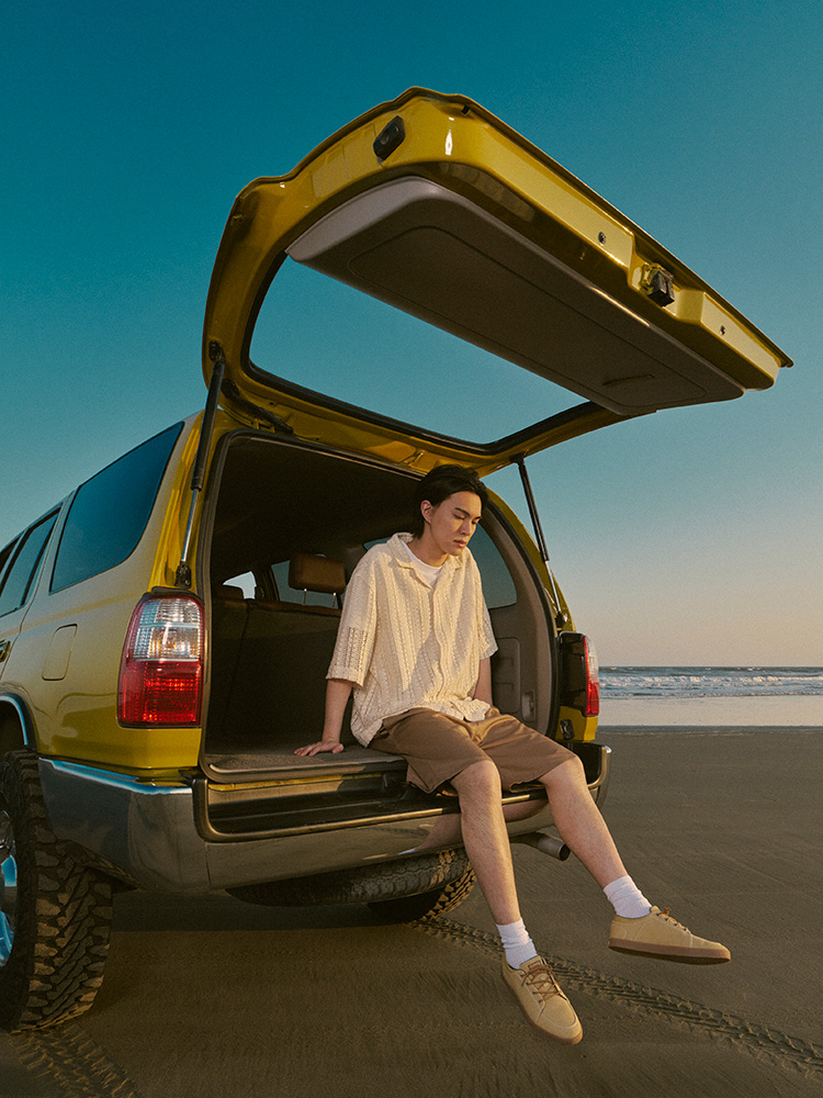 VANS LowPro Collection