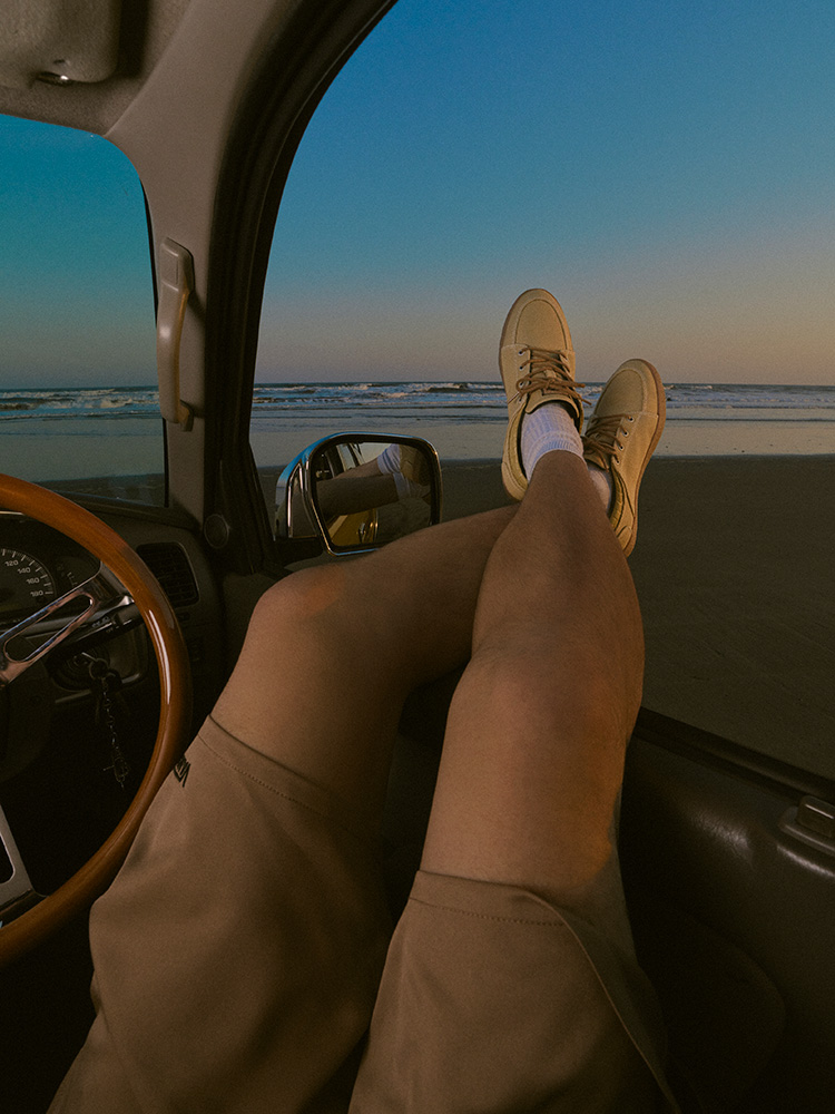 VANS LowPro Collection