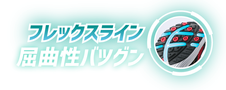 �t���b�N�X���C�� ���Ȑ��o�c�O��