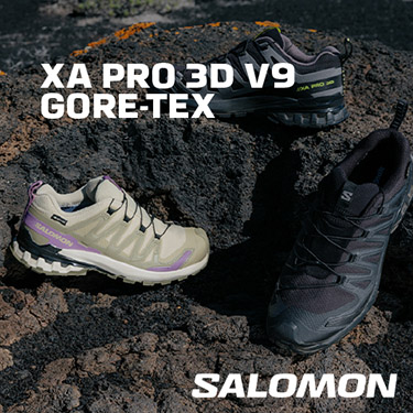 XA PRO 3D V9 GORE-TEX�b�T������