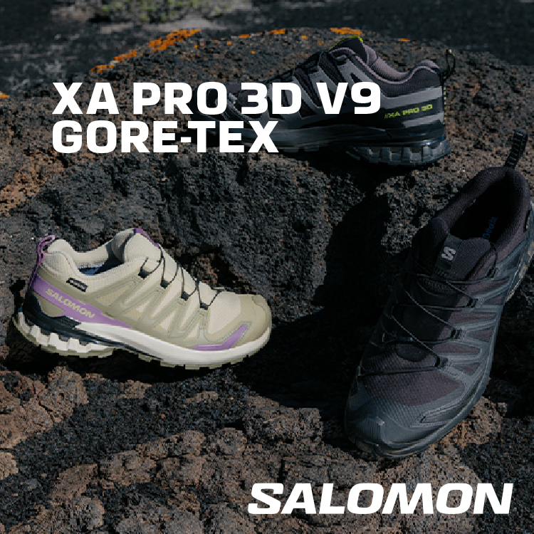 XA PRO 3D V9 GORE-TEX�b�T������