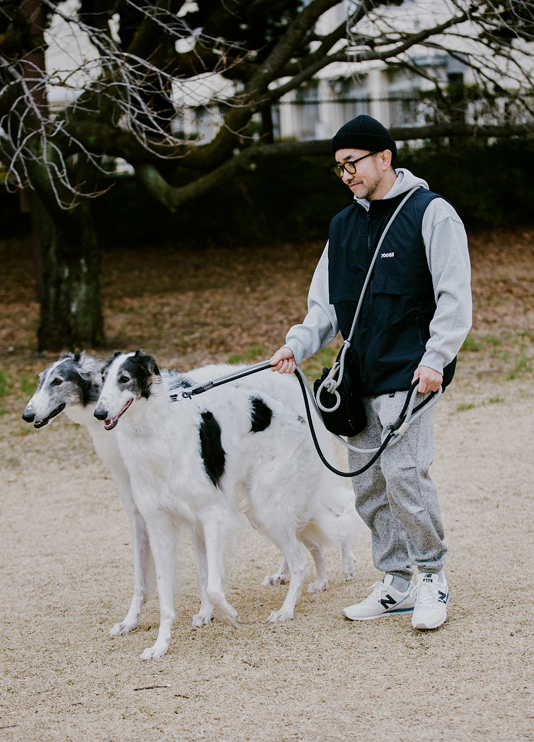 ���� ������@�R�[�f�B�l�[�g