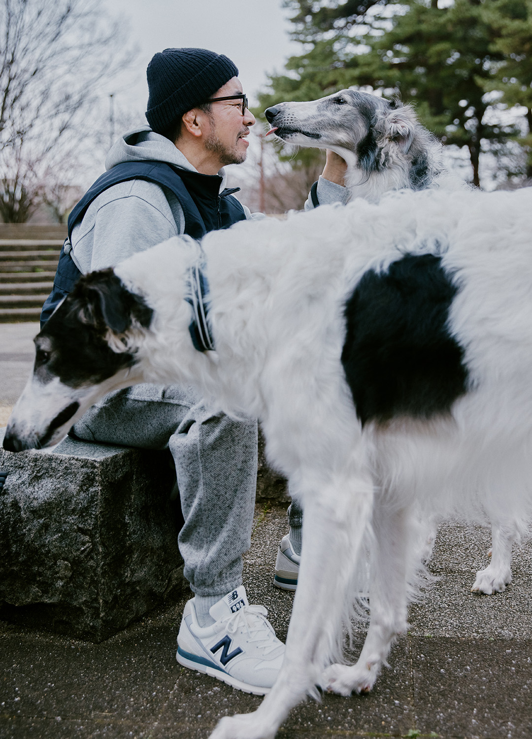 ���� ������@�R�[�f�B�l�[�g