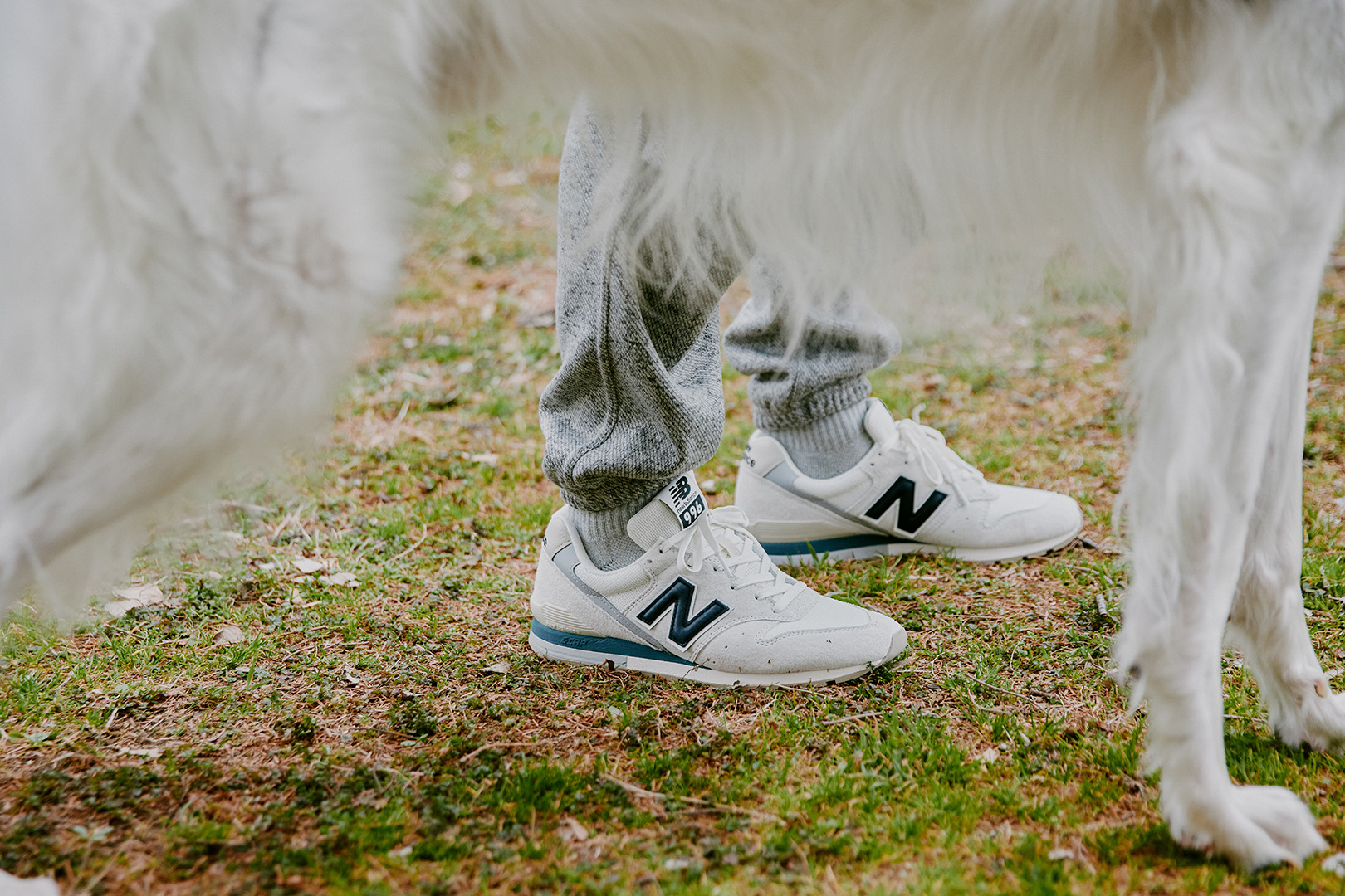 ���� ������@�R�[�f�B�l�[�g