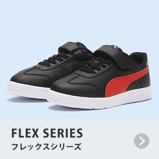 �t���b�N�X�V���[�Y