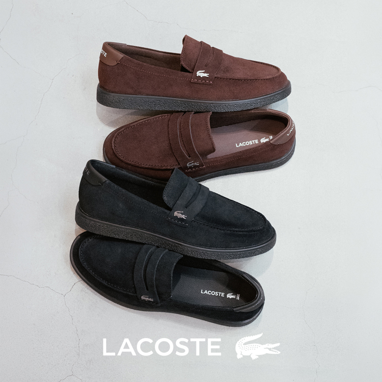LACOSTE �X�j�[�J�[���[�t�@�[ | ���R�X�e