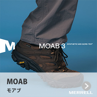 �������@���A�u�@MOAB