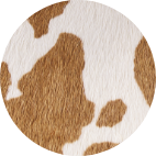 レディース 【HAWKINS】 ホーキンス TARA デッキシューズ HW20413 COW
