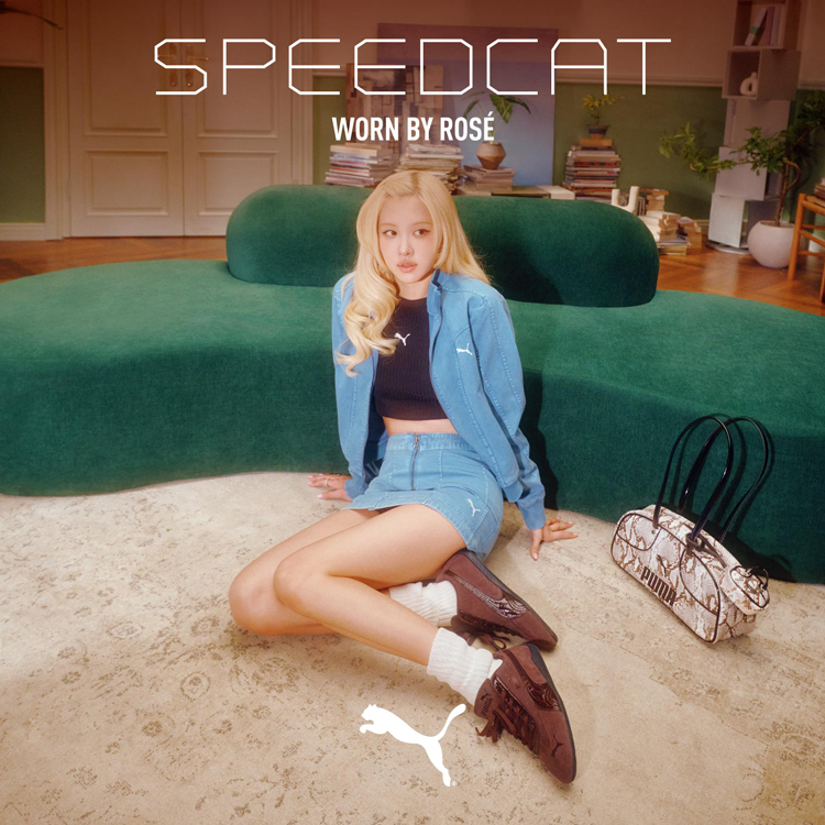 �N���R�_�C�����̉��₩�ȃp�e���g�f�ނ�g�ݍ��킹���V�� Speedcat Croc